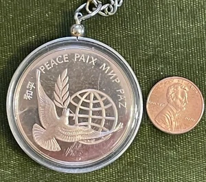 United Nations Peace Medal Bronze Pendant 1972 Mint Condition in Acrylic Case - Picture 1 of 9