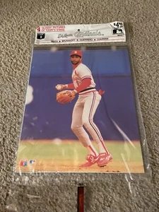 ST. LOUIS CARDINALS TEAM SET 1989 GLOSSY PHOTOS OZZIE SMITH VINCE COLEMAN NIP - Picture 1 of 2