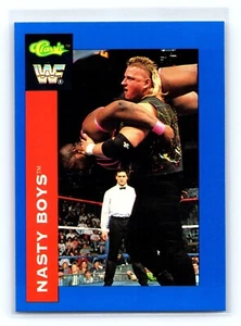 1991 Classic WWF Superstars The Nasty Boys Jerry Sags Brian Knobbs #23 - Picture 1 of 2
