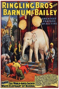7576.Decoration Poster.Home interior.Room Wall art decor.Circus white elephant - Picture 1 of 1