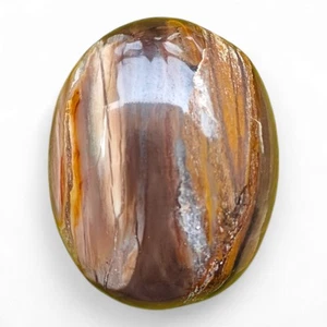 Piedra de palma de madera petrificada pulida - Piedra preciosa fósil de conexión a tierra para estabilidad - Imagen 1 de 5