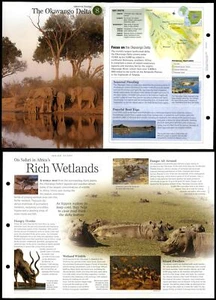Okavango Delta #8 Habitat - Discovering Wildlife Fact File Fold-Out Card - Picture 1 of 1