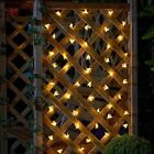 Buzzy Bee String Lights Set of 50 Decorative Solar Powered Fun Garden Lighting