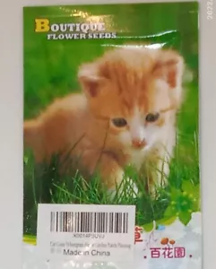 CAt Grass Wheatgrass - Picture 1 of 2