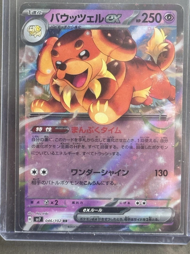Dachsbun ex 046/102 RR SV7: Stellar Miracle Japanese Pokemon - Image 1 of 1