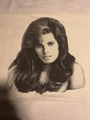Fronha Raquel Welch Vintage Ótimo Estado 31x19 - Imagem 1 de 4