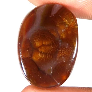 Natürlich Feuer Achat Kostüm Cabochon Lose Edelstein 17.75 Cts (15 x 20 X 5 MM - Picture 1 of 7