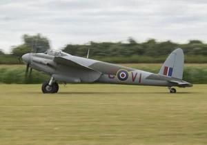 Impresión en lienzo Mosquito HJ711 varios tamaños - Imagen 1 de 1