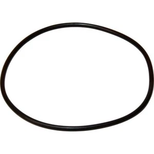 Maestrini Raw Water Intake Strainer O-Ring (3/4" & 1") - Picture 1 of 1
