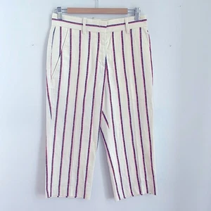 Isabel Marant Etoile Jacob Pantalón Corto Rayas Frente Plano Talla 36 - Imagen 1 de 6