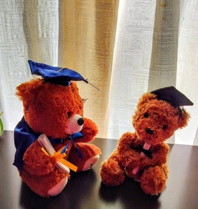 Paar Abschluss Teddybären - einer neu mit Etikett / einer gebraucht - Bild 1 von 10