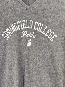 Springfield College Pride V-Ausschnitt T-Shirt Damen Large Relaxed Fit grau  - Bild 1 von 5