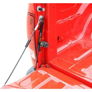 DZ43301 Dee Zee Tailgate Assist for Ram Truck 2500 3500 1500 Classic Dodge 09-10 - Picture 1 of 3