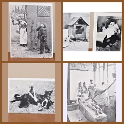 LOTE de 5 sin usar = Victorian Trading Co. Tarjetas de felicitación divertidas para personas de animales Foto 1 de 4