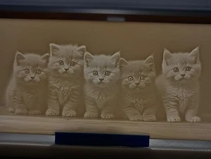 personalisierte Katze Plakette Lithophanen Kunstharz bedruckt - Bild 1 von 3