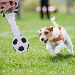 Sound-producing Teething Cloth Ball Soft Chew Toys Squeaky for Small Dogs - Picture 1 of 11