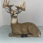Whitetail Deer Buck 10 Point Deer Coin Bank Laying Down Vintage Hunter Plastic