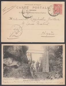 REUNION 1904 POSTCARD FOREST BELOUVE (ID:349/D61511) - Picture 1 of 1