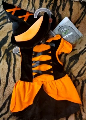 Disfraz para Mascota Perro o Gato Bruja con Sombrero Naranja Halloween Nuevo sm 🎃 ea. Foto 1 de 3