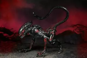 Neca Aliens Night Cougar Alien (Kenner Tribute) 23 cm KAF - Foto 1 di 6