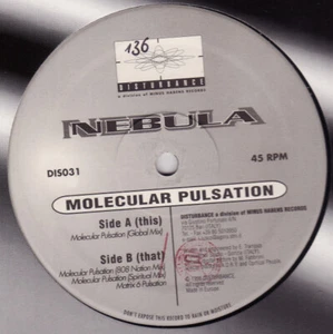 Nebula / Molecular Pulsation / Vinyl / Techno / House / Electro / Disturbance - Picture 1 of 1
