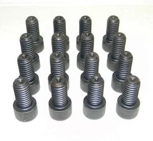 Small Block Ford SBF 289 302 Black Allen / Socket Header Bolt Set 16Pcs. NEW - Picture 1 of 2