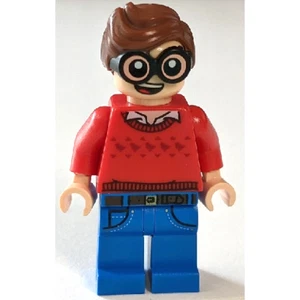 Lego Figure Dick Grayson, Red Sweater with Dark Red Robins - sh0464 - Imagen 1 de 1