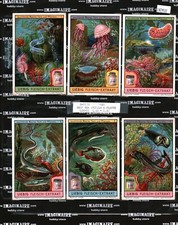 1922 Liebig S-1133 Deep Sea Animals And Plants full set 6/6 142497