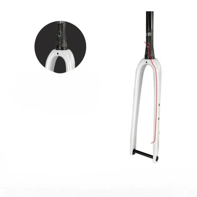 Bicicleta Gravel Fibra de Carbono Horquilla Dura Tubo Cónico 700C X 45C Eje Pasante 12x100mm Foto 1 de 4