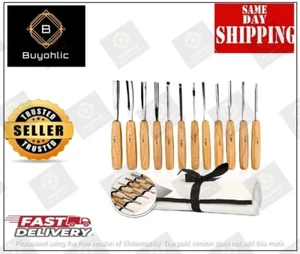 Wood Carving Tool, 12pcs Wood Whittling Kit with Mallet and Canvas Case Wood - Picture 1 of 8