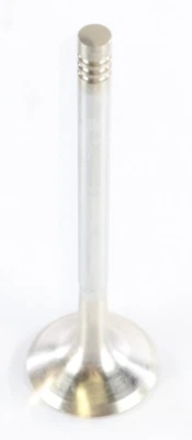 Válvula de escape Volvo Penta 1542389 nueva Foto 1 de 2