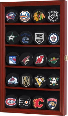 Vitrina Organizadora Con Soporte Muro Discos Hockey Caja Sombras Protección UV Foto 1 de 4