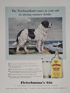 Pubblicità Stampa Fleischmann's Gin Fortune WW2 1940 Q3 Cane Terranova Colore Oceano - Foto 1 di 2