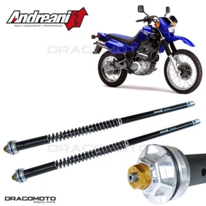 YAMAHA XT 600 E 1990-2004 cartridge ANDREANI 105/Y20E MISANO EVO - Picture 1 of 5