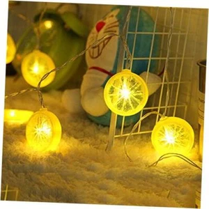 Novelty Lemon Decor Fairy String Lights with 20 LED, Battery Operated Warm - Picture 1 of 7