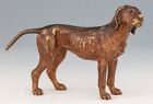 Antique Vienna bronze hunting dog Cold painted bronze