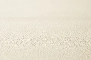 Laminiertes ECO-Leder Kunstleder möbelstoffe pvc materialen 4mm CHAMPAGNER - Bild 1 von 1