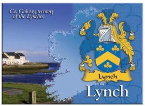 Imán de nevera Lynch Irish Family Name recuerdo imagen metálica regalo irlandés - Imagen 1 de 2