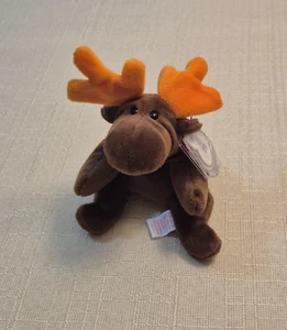 RETIRED CHOCOLATE THE MOOSE 1993 TY BEANIE BABY One Of The Original Nine - Picture 1 of 5
