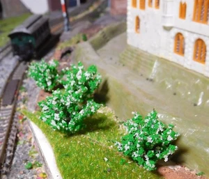 50 arbustos verde oscuro, arbustos, blanco en flor, 28 mm de alto - Imagen 1 de 12