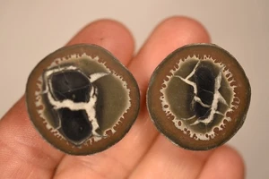 2 *SEPTARIAN NODULE* Halves 3cm 25.7g Natural Stone Crystal Geode - Picture 1 of 13