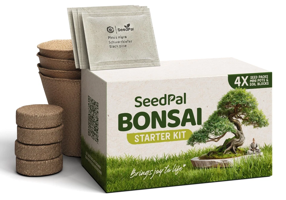 Easy Bonsai Kit - Plantes Kit de culture Bonzaï 4 graines différentes de Banz... - Photo 1/4