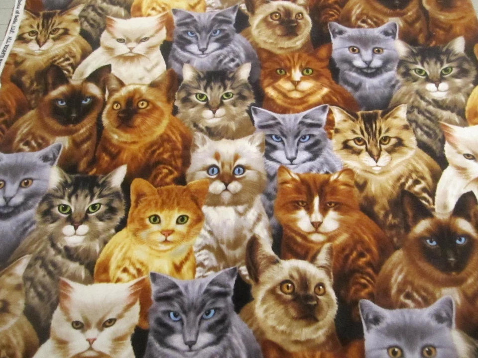 Хлопковая фланелевая ткань для кошек котят кошек Timeless Treasures 1 ярд 8x42 - Изображение 1 из 4