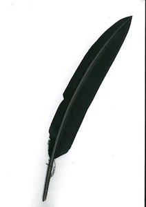 Cheap Black Alpine Turkey Hat Pen - Picture 1 of 3