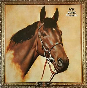 Tim Hollier - The Story Of Mill Reef: Something To Brighten The Morning (LP) (EX - Bild 1 von 1