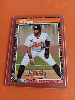 Ivan Castillo Baseball Card Long Island Ducks 2024  Atlantic League Rare - Image 1 of 2