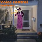 Voice Controlled Halloween Glowing Witch Dolls Glowing Witch Dolls  Garden