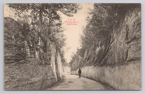 Cut at Mount Langton Bermuda Postcard - Picture 1 of 2