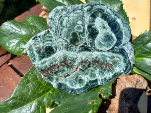 Schöner Seraphinit, Klinochlor, Scheibe, 140 mm, Russland - Bild 1 von 8