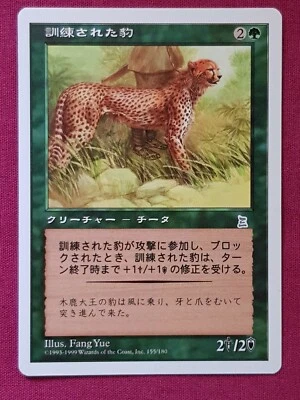 Magic The Gathering JAPANESE PORTAL THREE KINGDOMS TRAINED CHEETAH card MTG P3K - Image 1 of 2